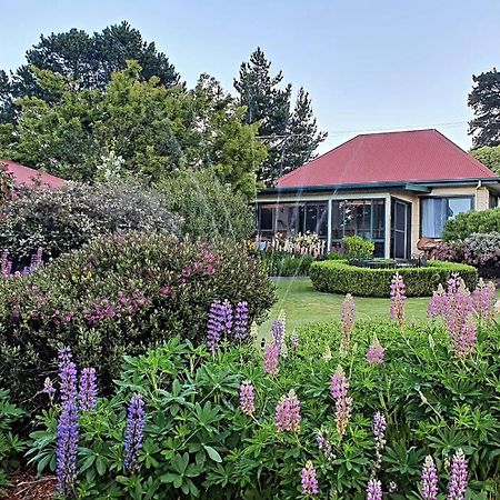 Hamlet Downs Country Accommodation Fentonbury Kültér fotó